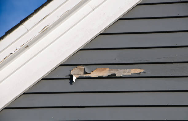 Best Vinyl Siding Installation  in Westchester, FL